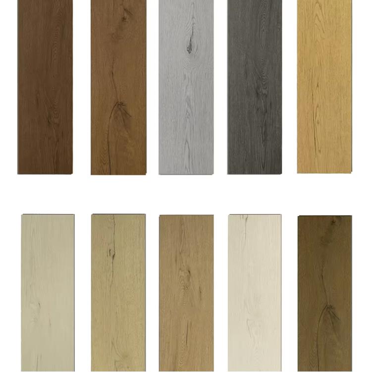 1723185229249720.jpg 15.jpg