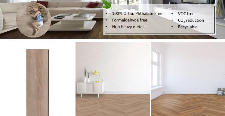 1721290363162253.jpg 221.jpg