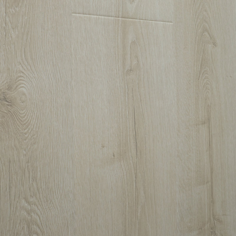 1730871217252660.jpg P28A4950.jpg