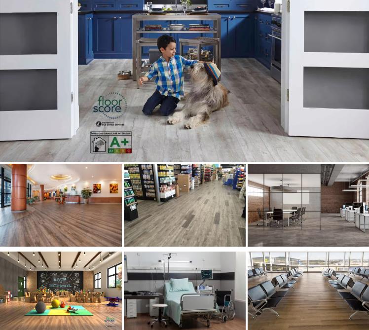 1721290567285263.jpg 224.jpg