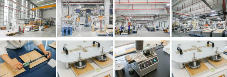 1723185344264560.jpg 16.jpg