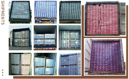 حار بيع SPC الأرضيات الخشبية