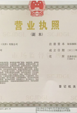 Honors and Qualifications