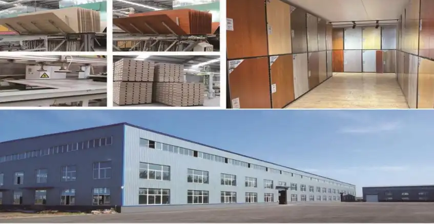 Profilul Companiei Profilul Companiei