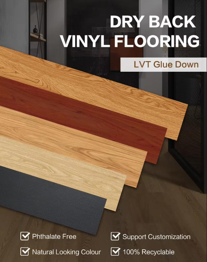 1724833054936260.jpg 22.jpg